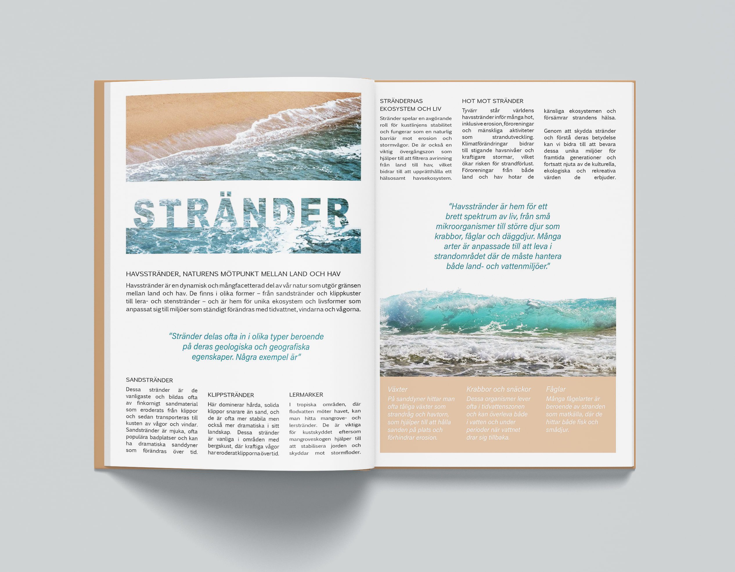 Stränder 1 Strander magazine
